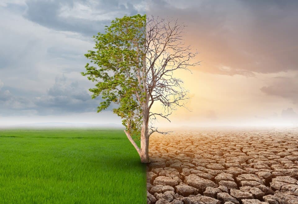 Fighting Climate Change in Local Communities